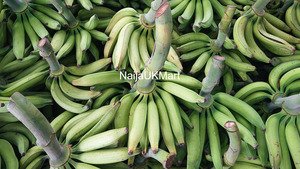 Plantain - 1