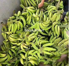 Plantain - 2